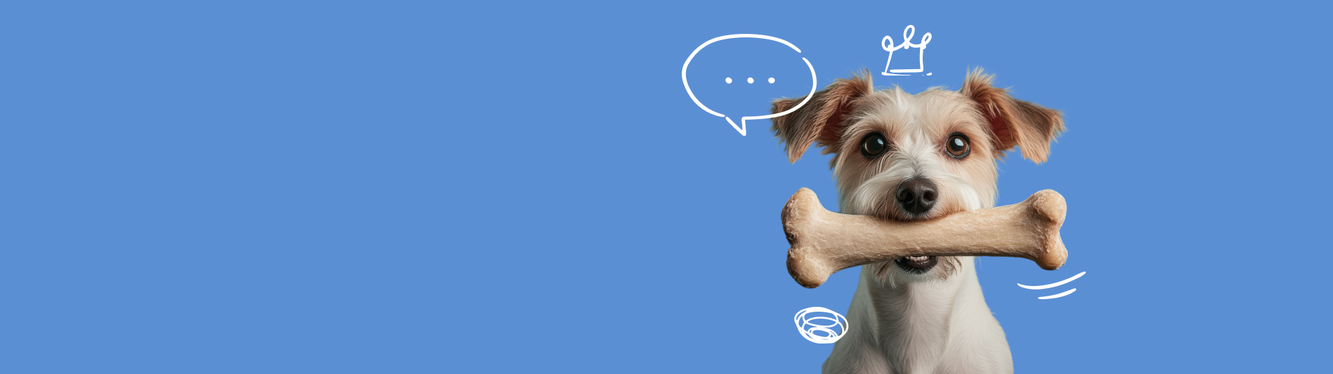 Imagem de fundo de um cão feliz