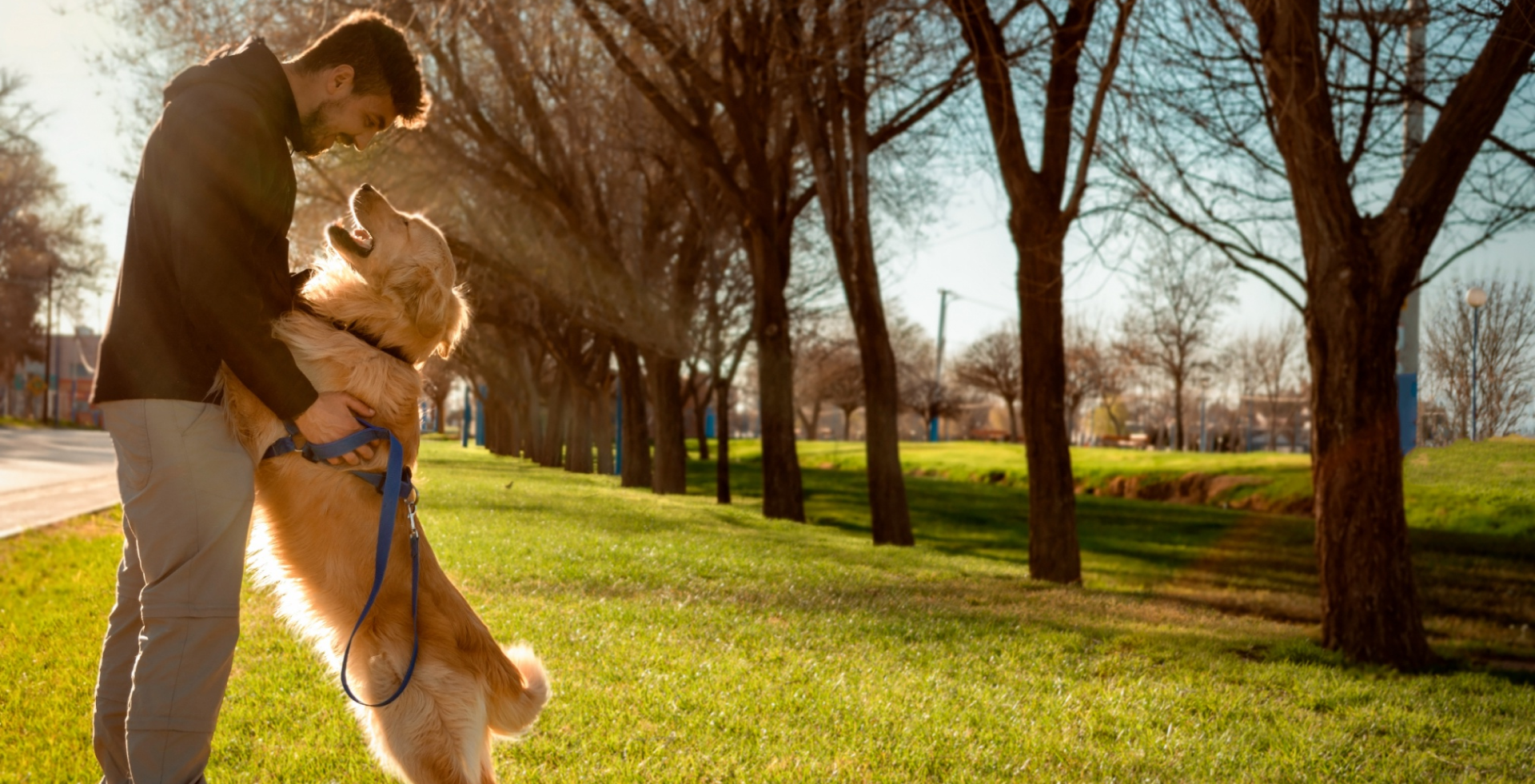 Imagem de fundo de um cão feliz