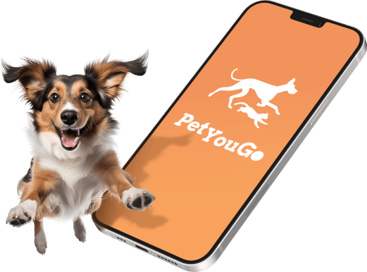 Descrição da Imagem