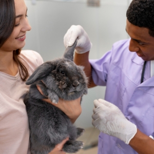 SERVIÇOS VETERINÁRIOS